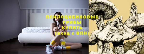 молекула духа Аркадак