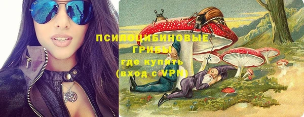 молекула духа Аркадак
