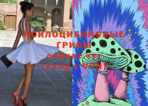 трава Арсеньев