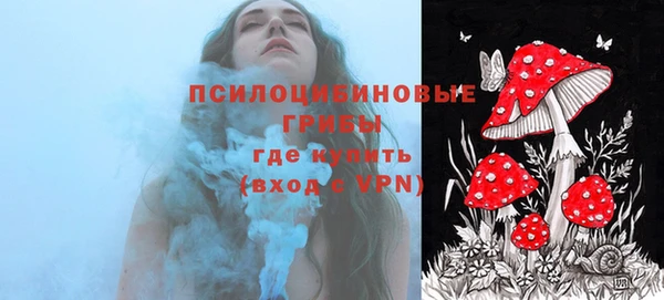 молекула духа Аркадак