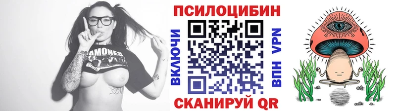 darknet Telegram  Белая Холуница  Псилоцибиновые грибы ЛСД  дарнет шоп 
